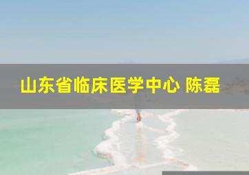 山东省临床医学中心 陈磊